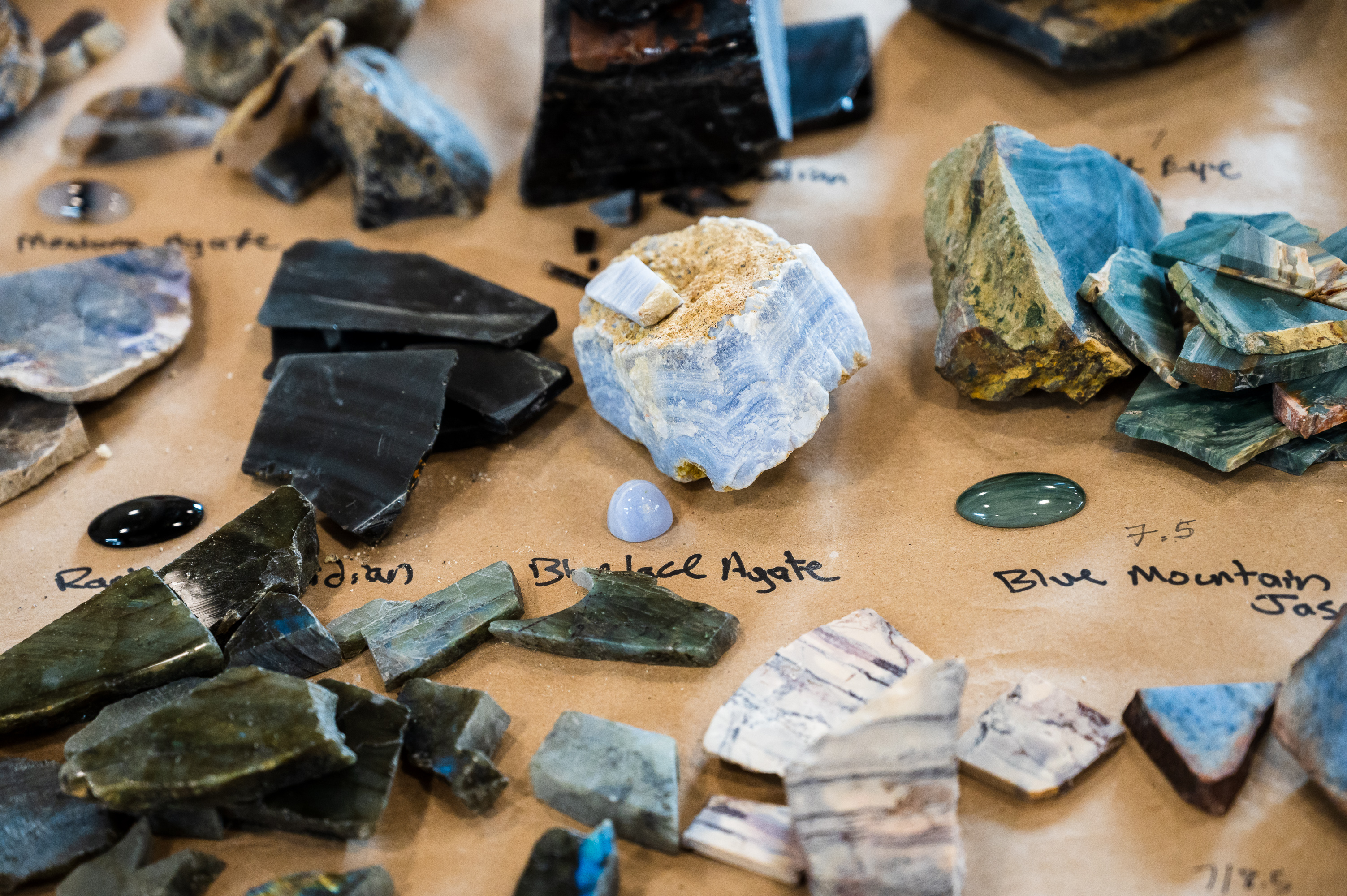 Community Event: Rock Swap & Shop!