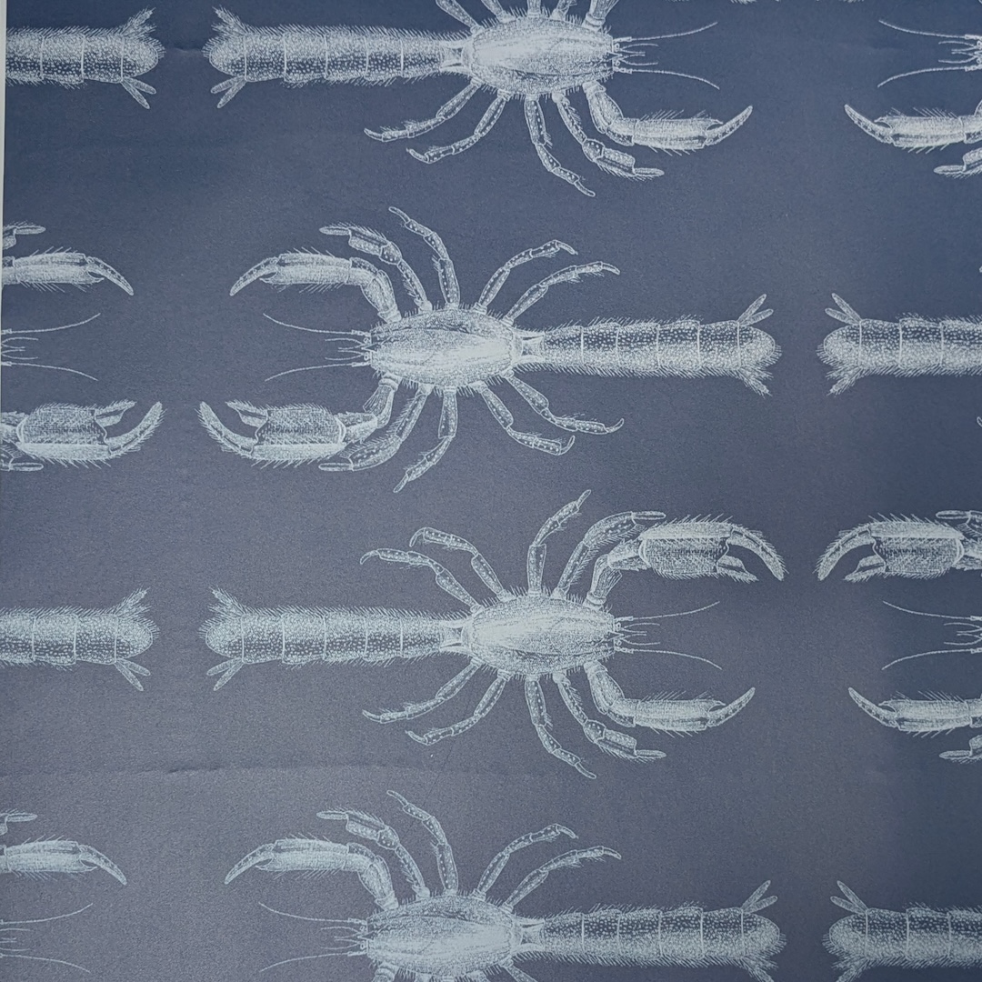 Creative Challenge: Crustaceans!