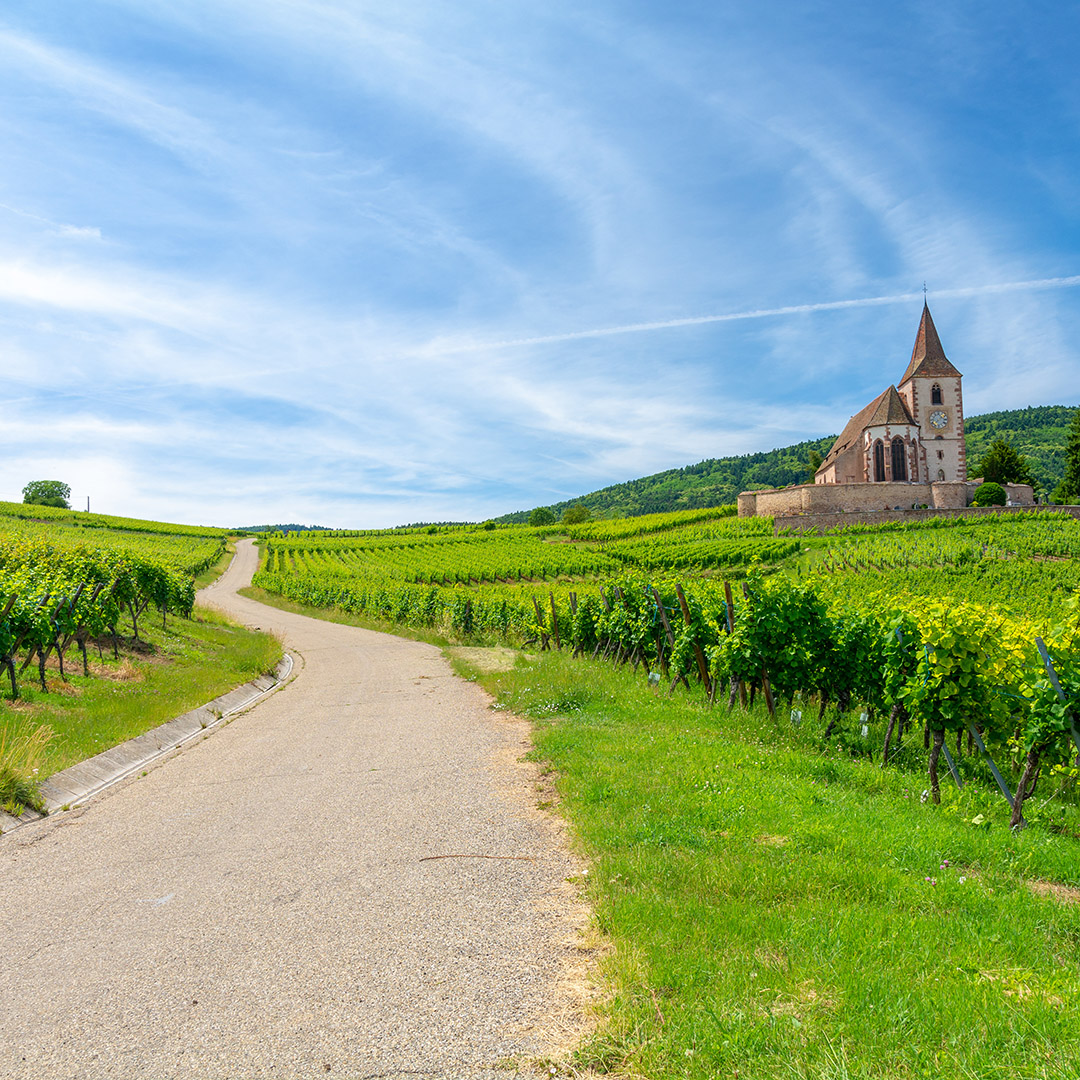 Off the Beaten Path 1:  Wines from France