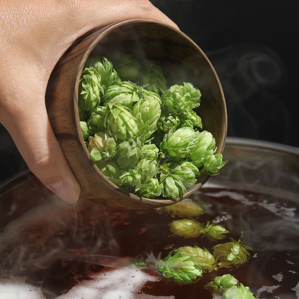 Brew Your Own Beer