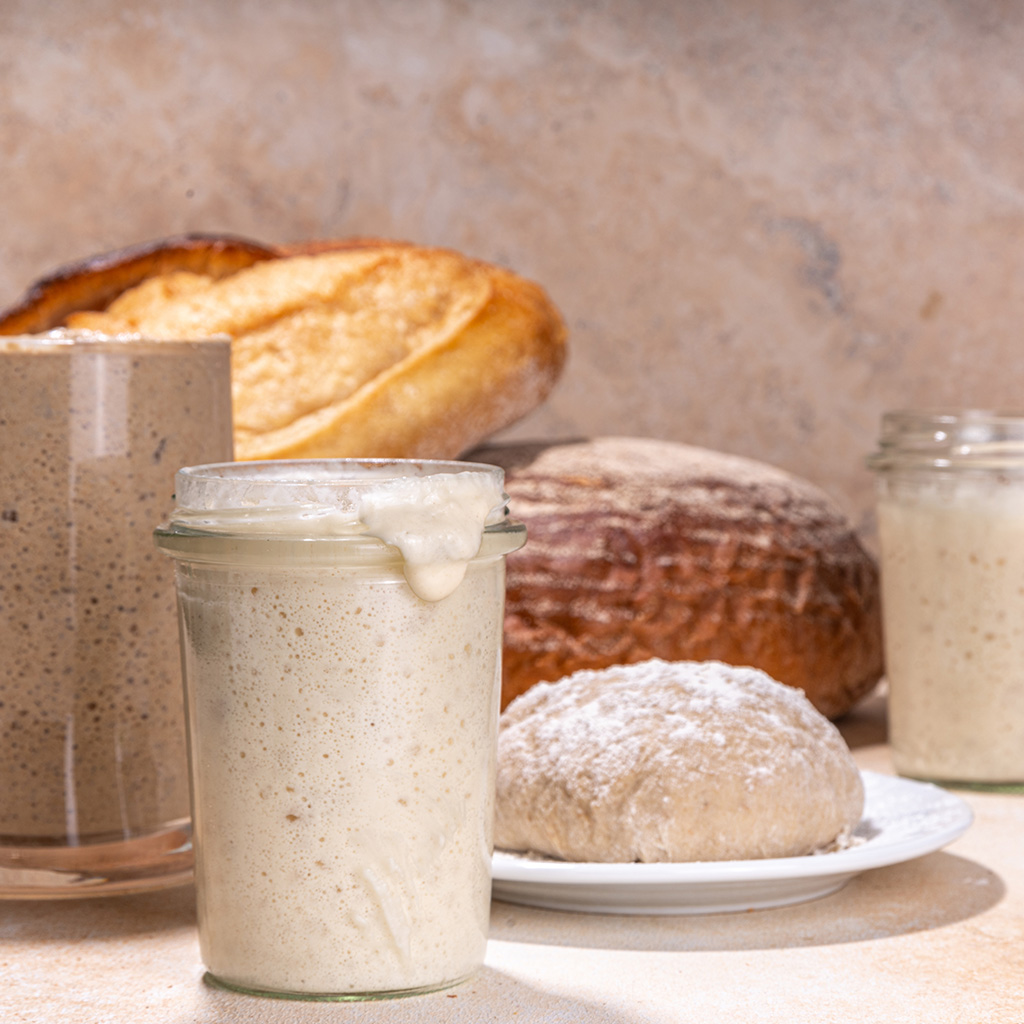 Intro to Sourdough: Bread and Beyond