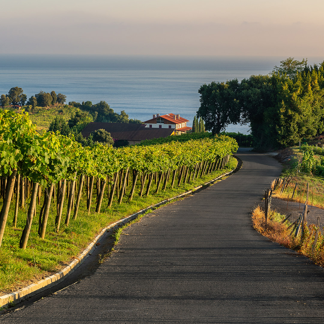 Off the Beaten Path 3:  Wines from Spain & Portugal