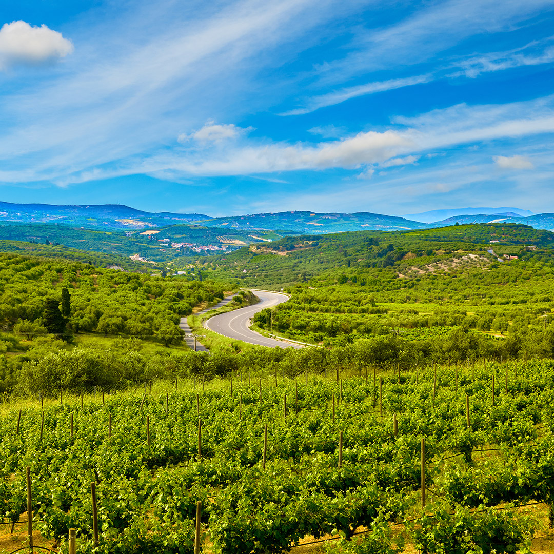 Off the Beaten Path 2:  Wines from Italy & Greece