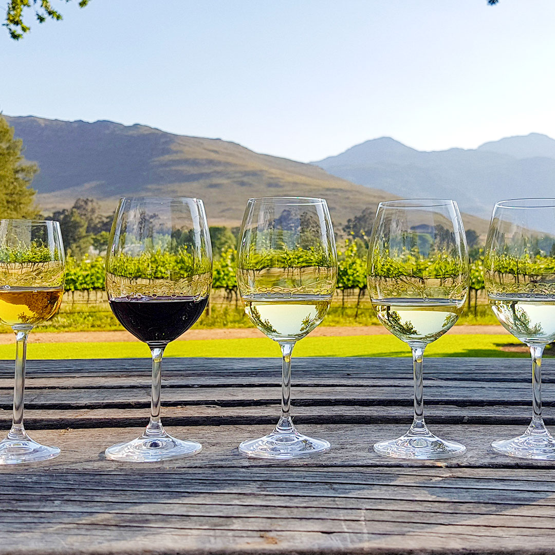 Wine 101