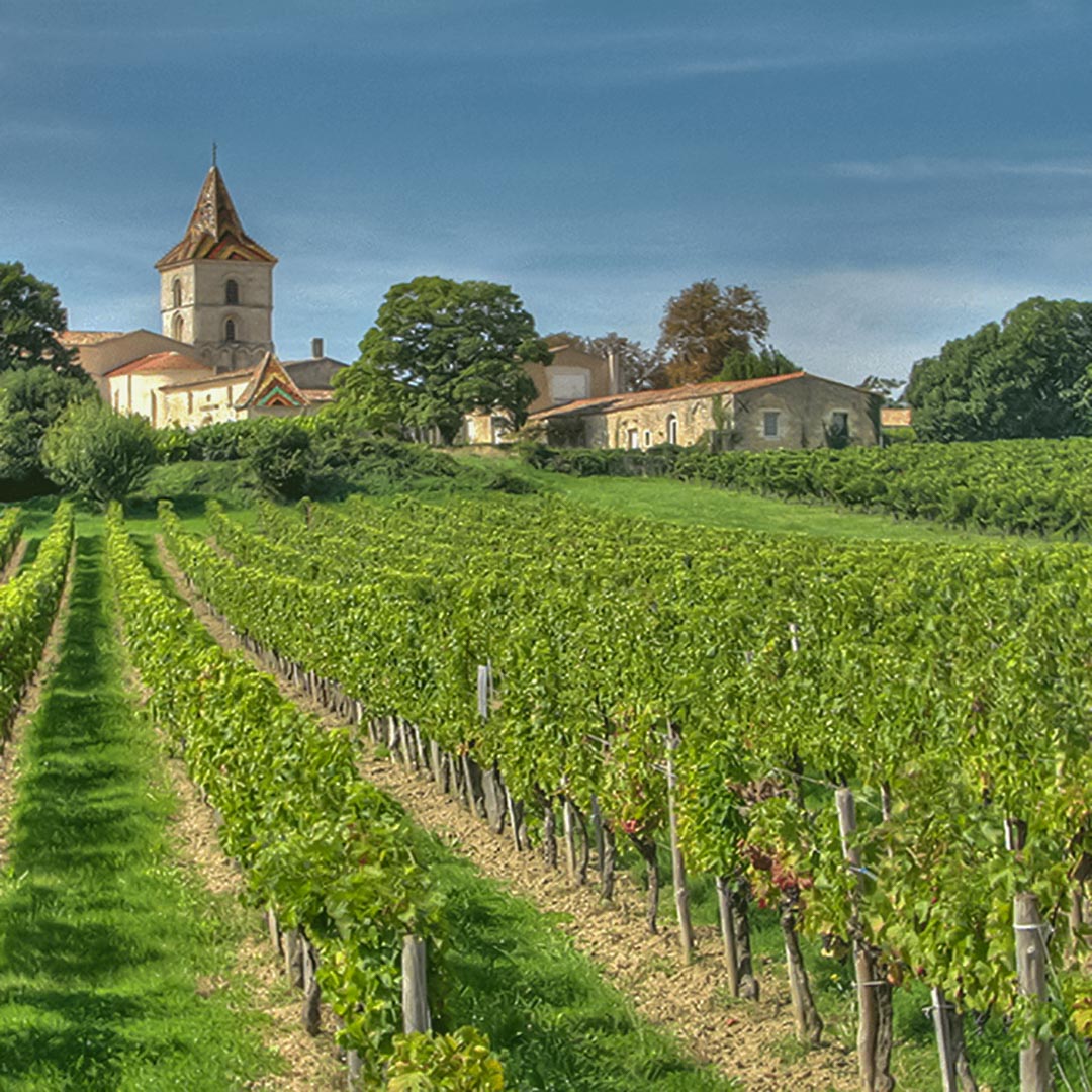 Wines of Bordeaux