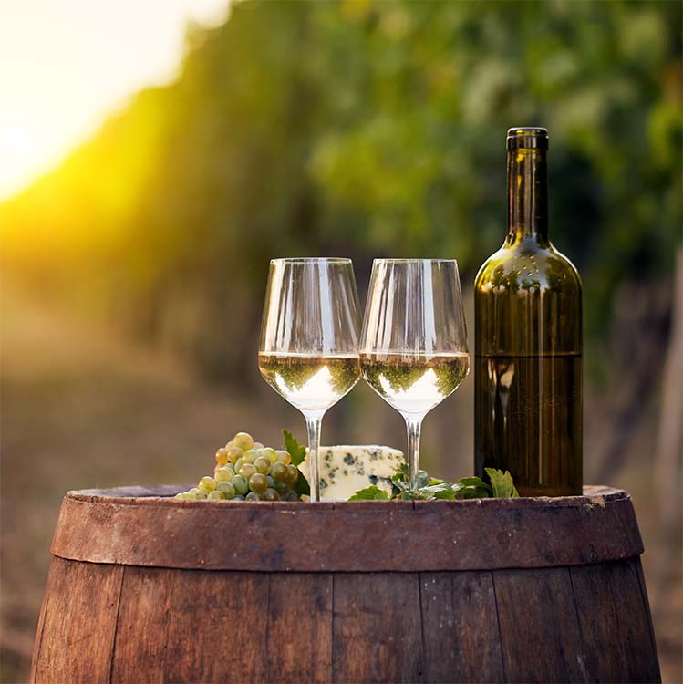 Summer Wine Discovery Series: Wines of Napa