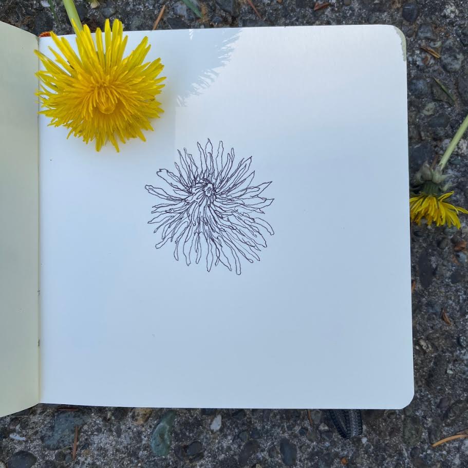 The Art of the Daily Drawing Sketchbook BARN Catalog