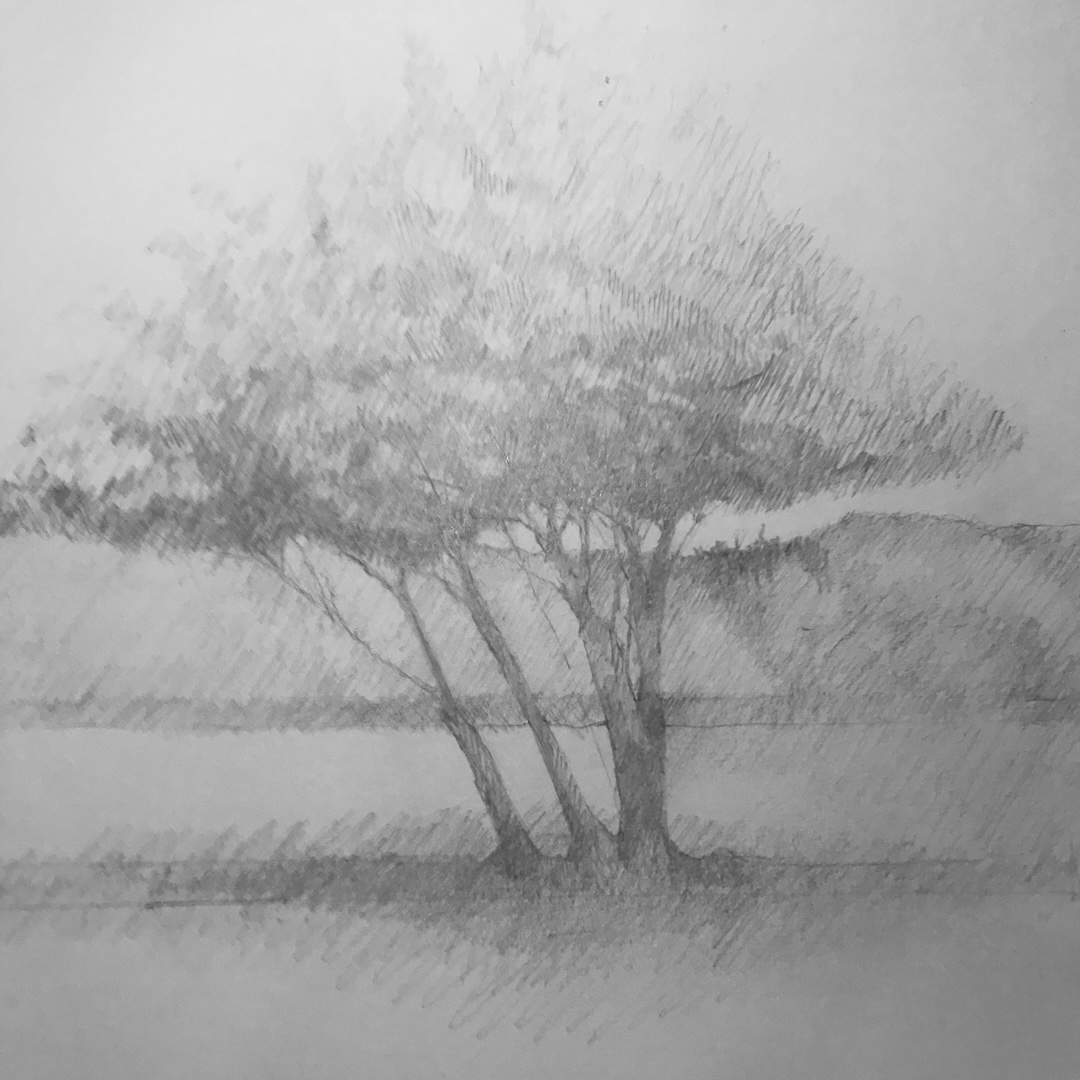 Introduction to Plein Air Drawing