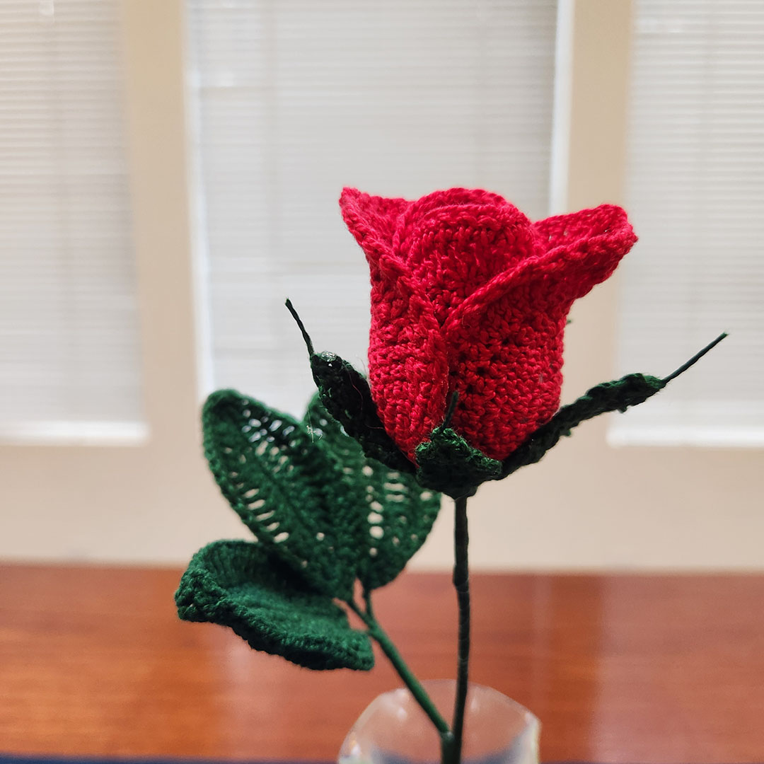 Crochet Techniques: 3D Crochet