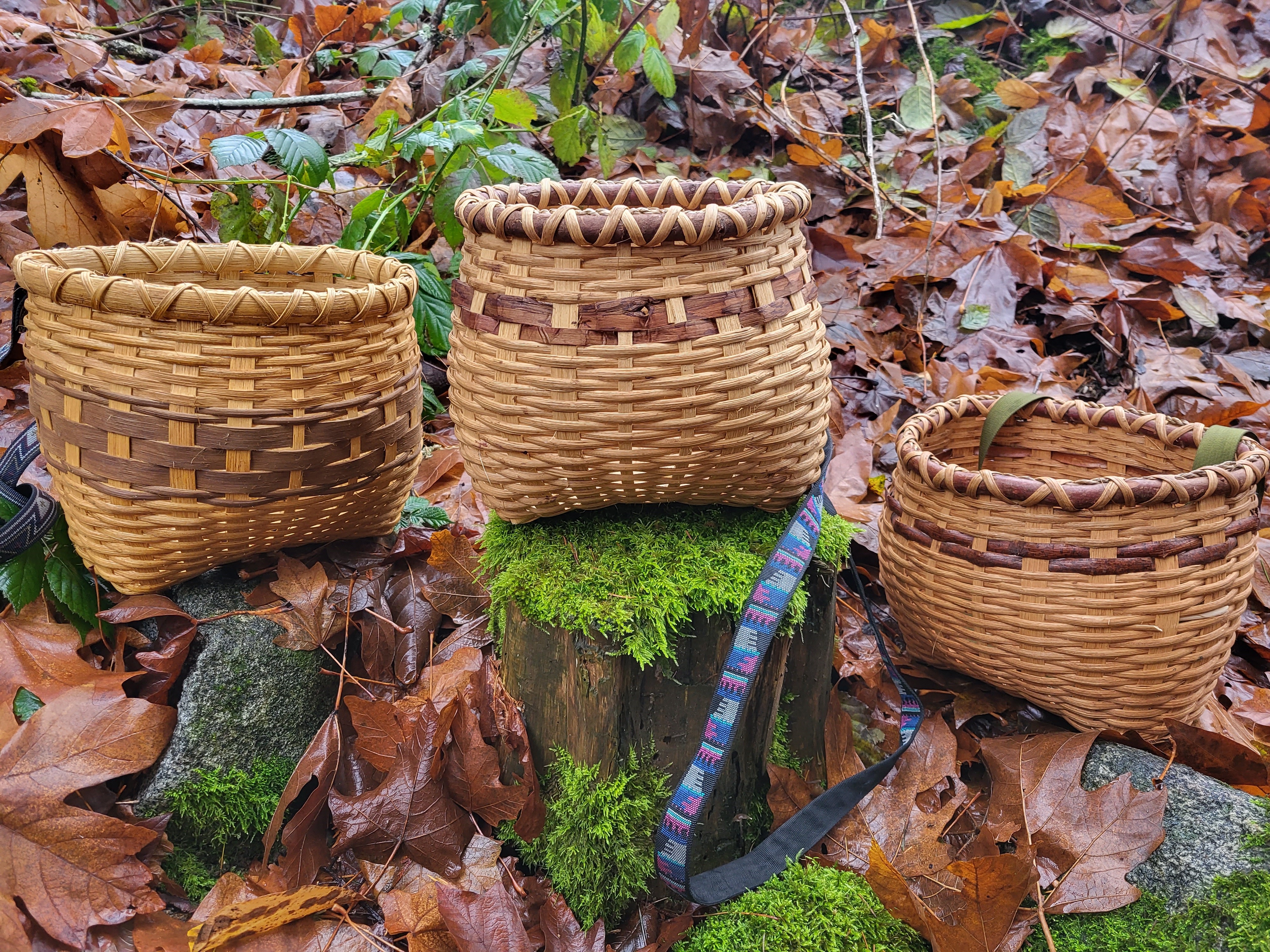 Forager's Basket