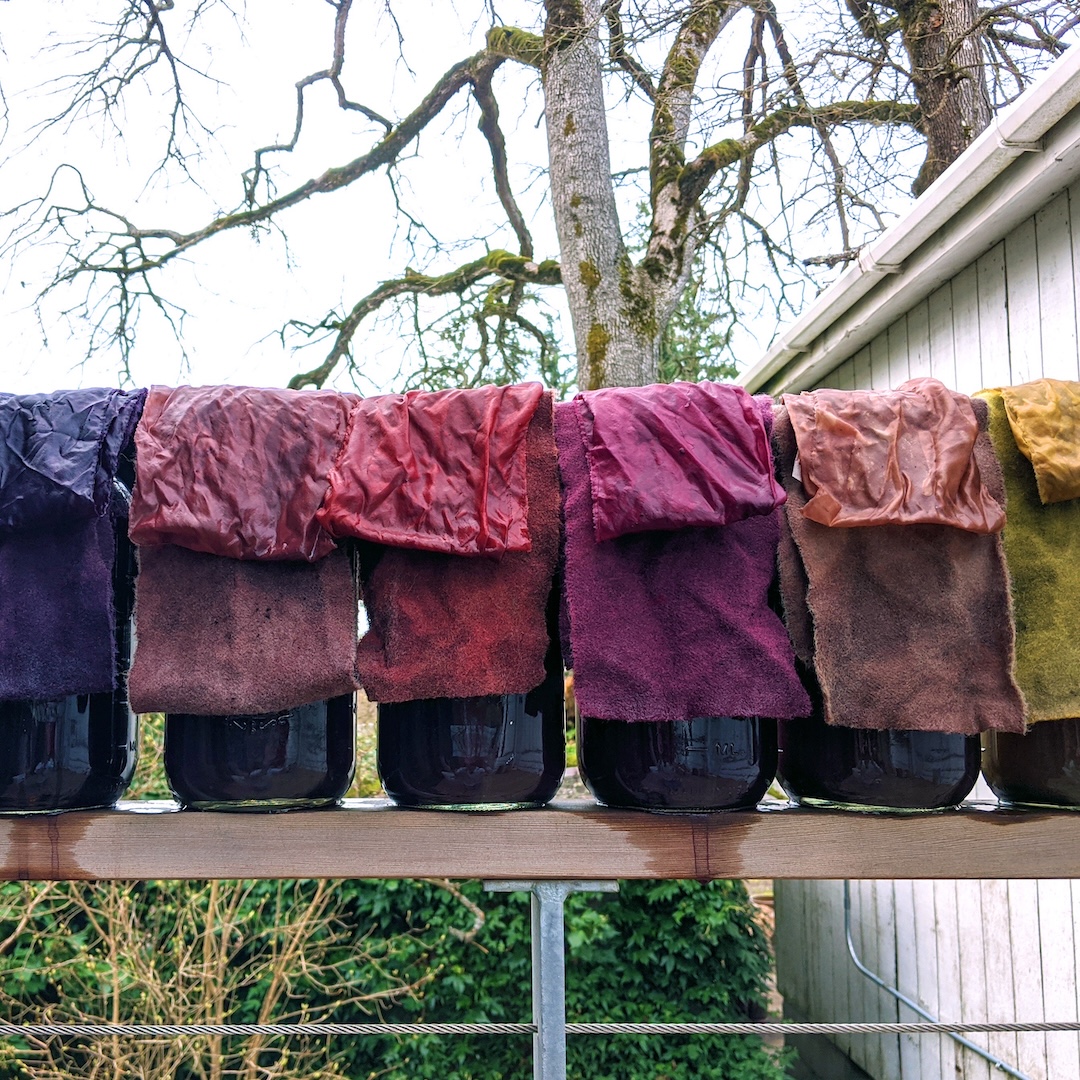Natural Dyes: Color and Variation