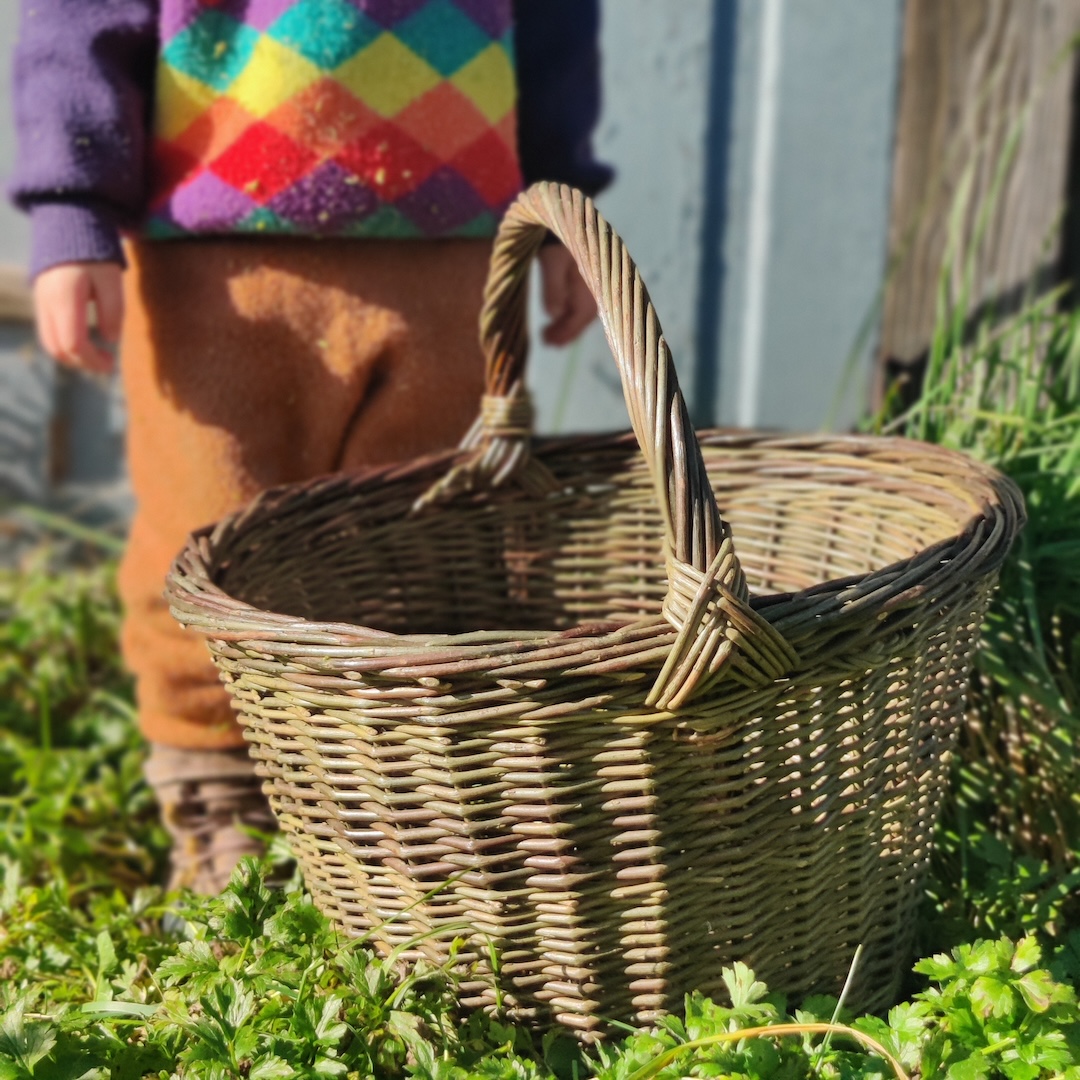 Round Willow Gathering Basket
