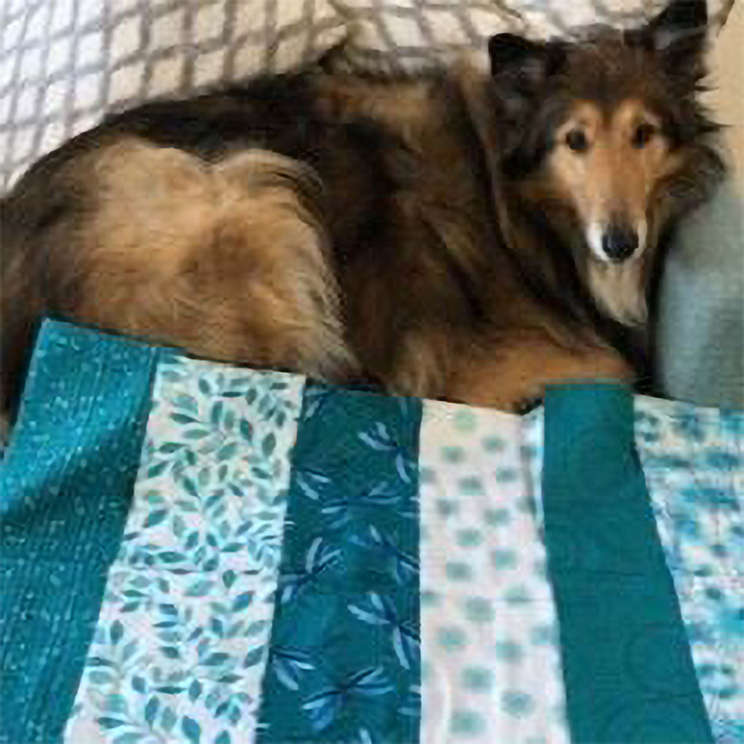 Summer Youth: Make a Quilt (Age 10-14)