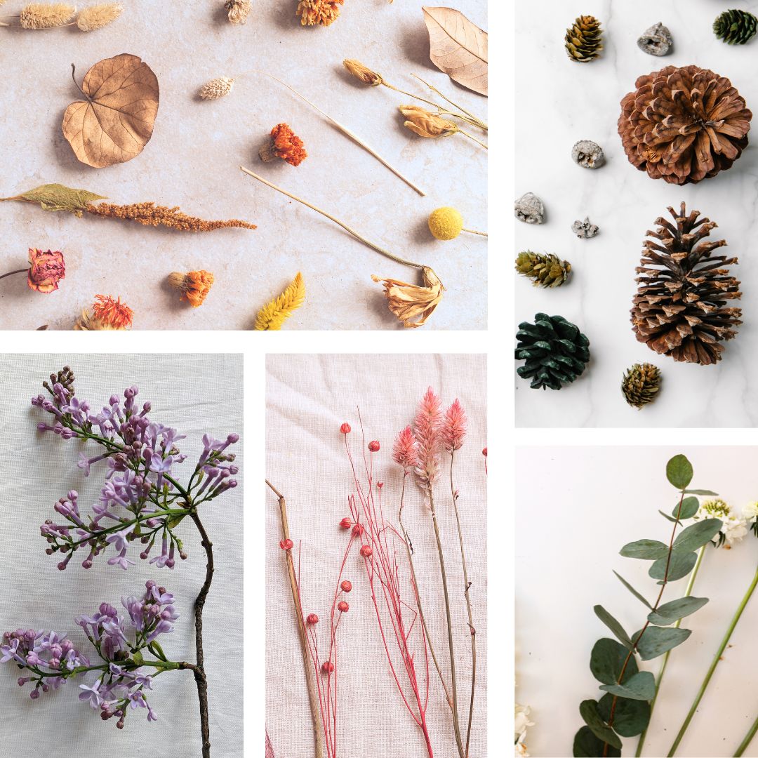 Focused Open Studio: Flourish