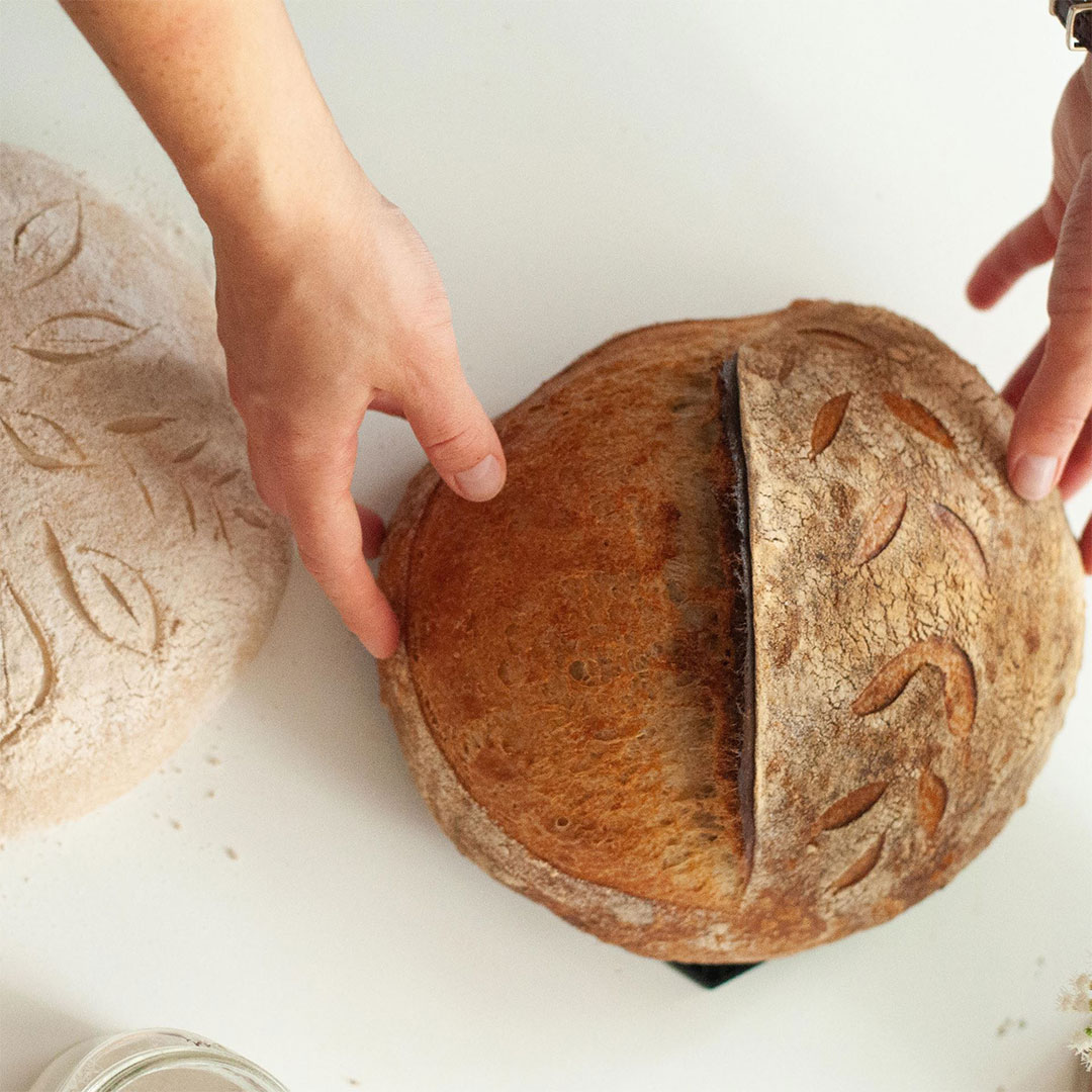 Summer Youth: Sourdough from Scratch (Ages 12-18)