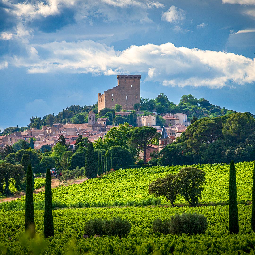 Regional Wines Series: Southern Rhône Valley, France