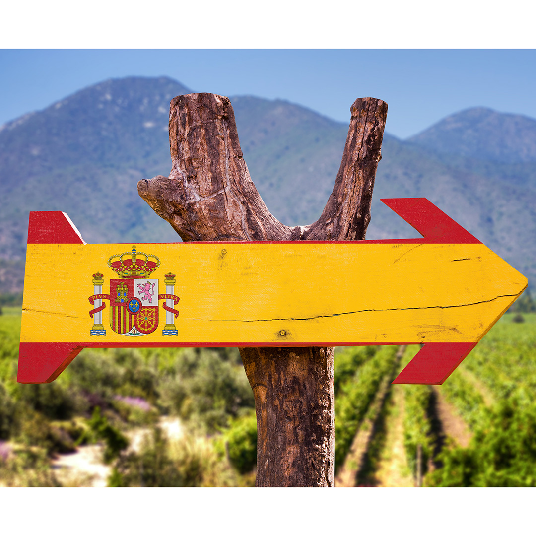 Regional Wines Series: Rioja and Priorat (Spain)