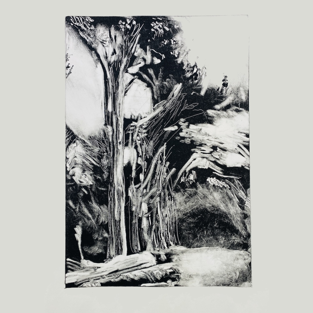 Introduction to Monotype