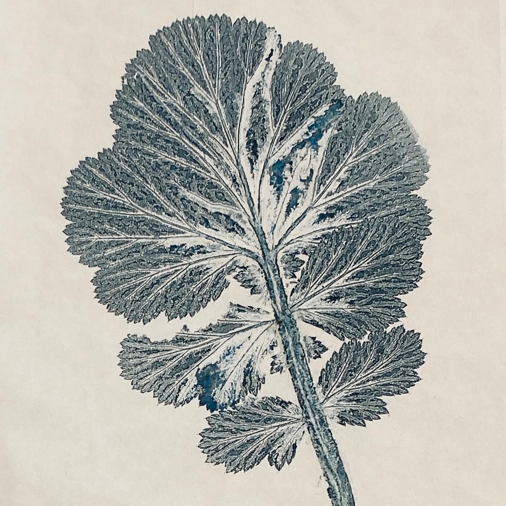 Printmaking with Plants