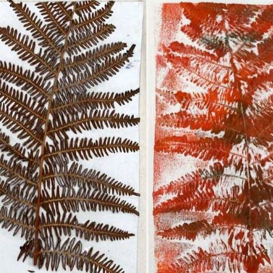Summer Youth: Natural Ink & Printing Plants (Ages 8-10)