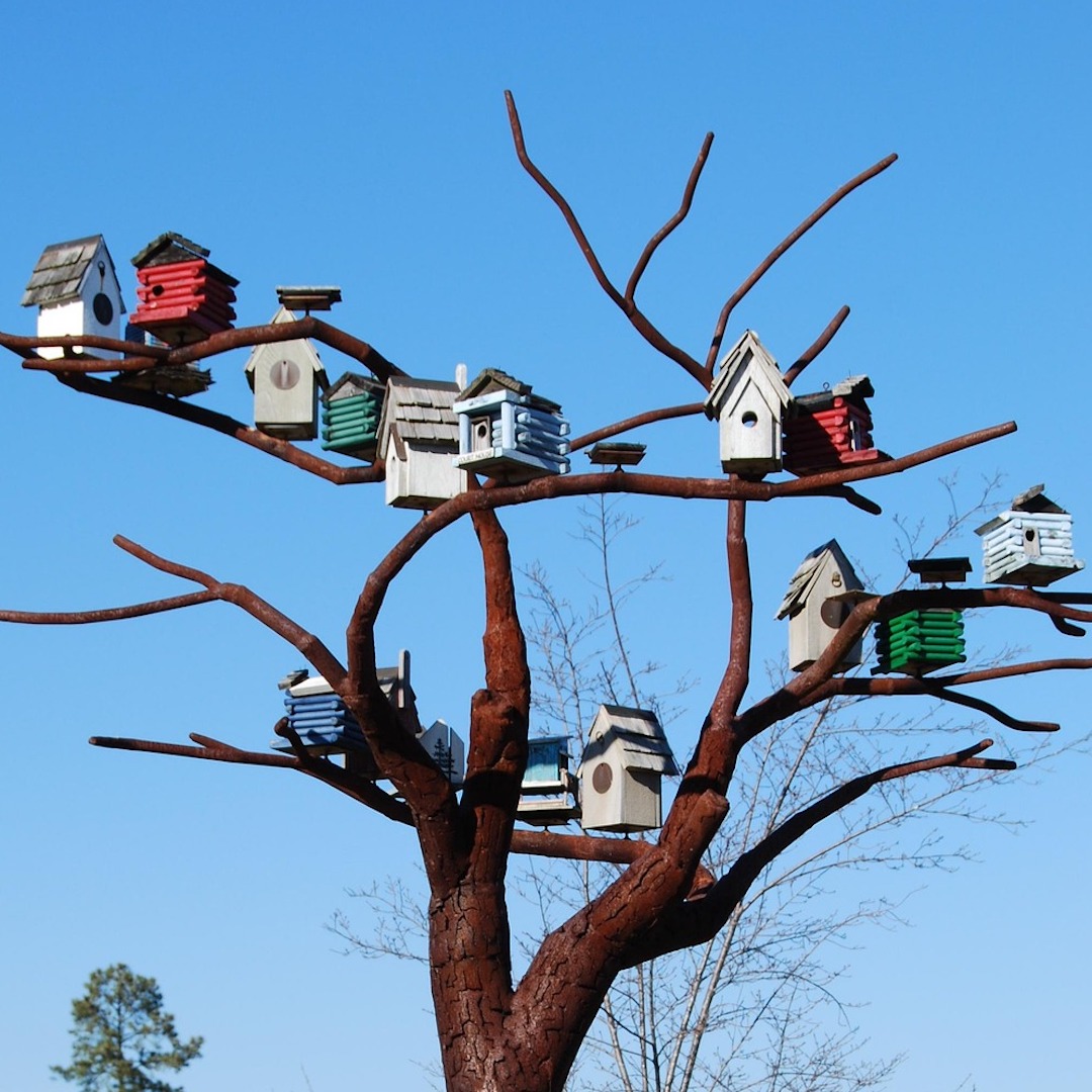 Design/Build Artistic Birdhouses