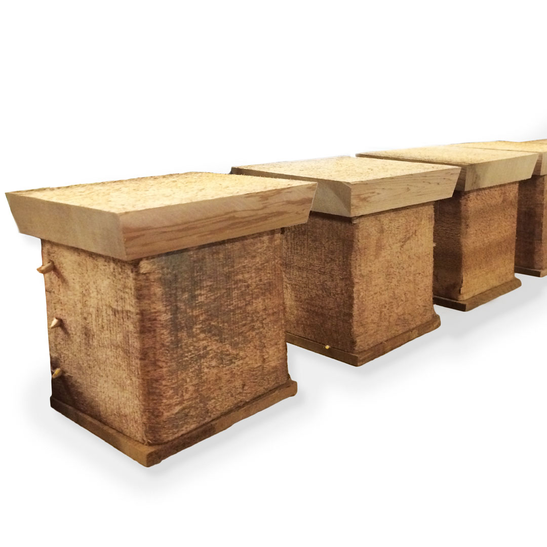 Make a Salish-Style Cedar Bentwood Box