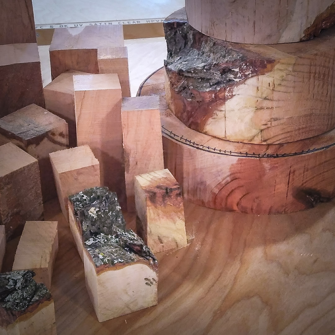 Wood for Turners