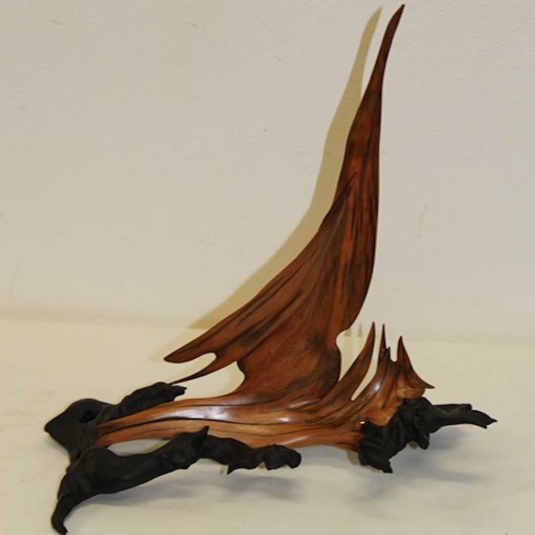 Woodworkers' Monthly Presentation: Driftwood Sculptor Tuttie Peetz