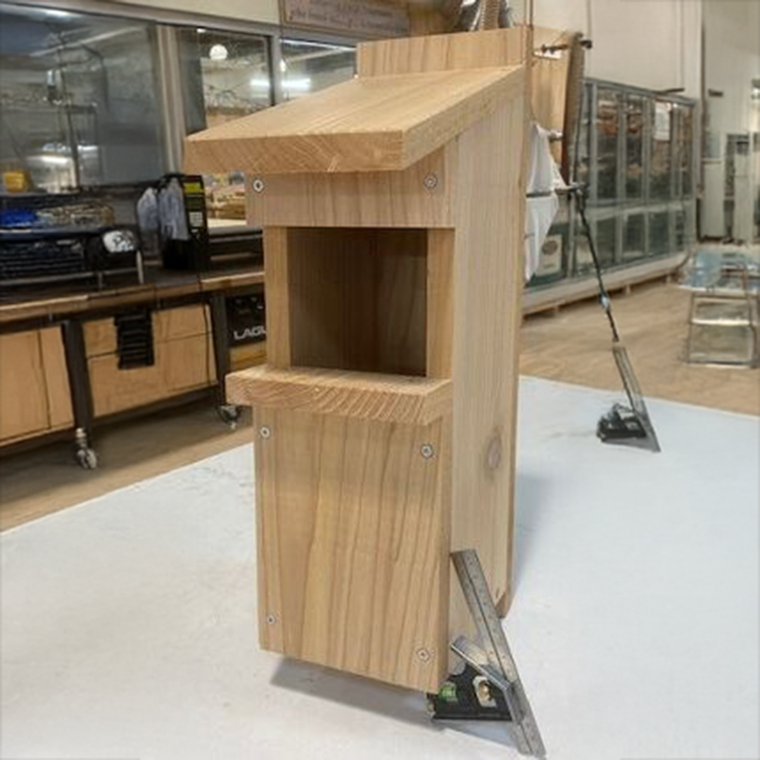 Youth: Build an Owl or Songbird Nest Box (Ages 12-16)