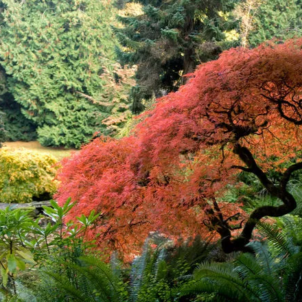 Nature and Creativity Retreat